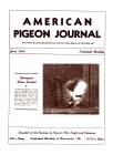 Magazine Cover